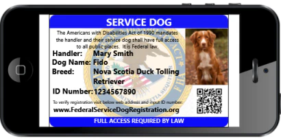 Digital Version of ID Card (emailed) (v2)