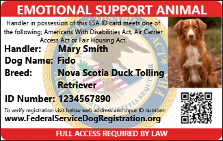 Emotional Support Animal - Plus Package (Bundle and Save $58) - Image 6