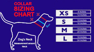 Service Dog - Complete Package (Bundle and Save $103) - Image 9