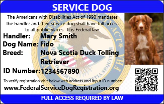 Service Dog - Plus Package (Bundle and Save $58) - Image 5