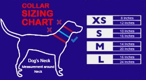 Service Dog - Premium Package (Bundle and Save $370) - Image 12