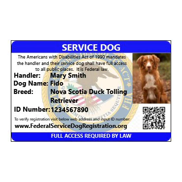 Service Dog - Premium Package (Bundle and Save $370) - Image 7