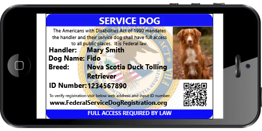 Service Dog - Premium Package (Bundle and Save $370) - Image 8